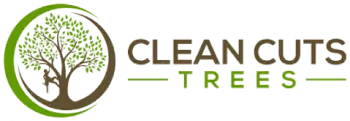 CleanCutsTrees logo e1626848384633 2 - Tree Service Digital