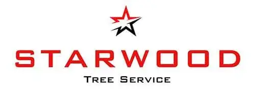 Starwood - Tree Service Digital