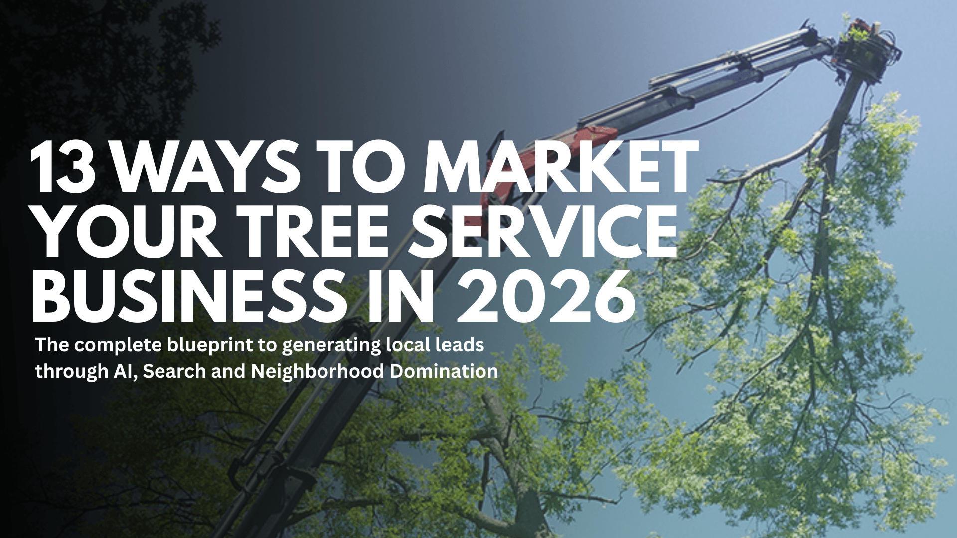TSD Thumbnail Images 65 - Tree Service Digital
