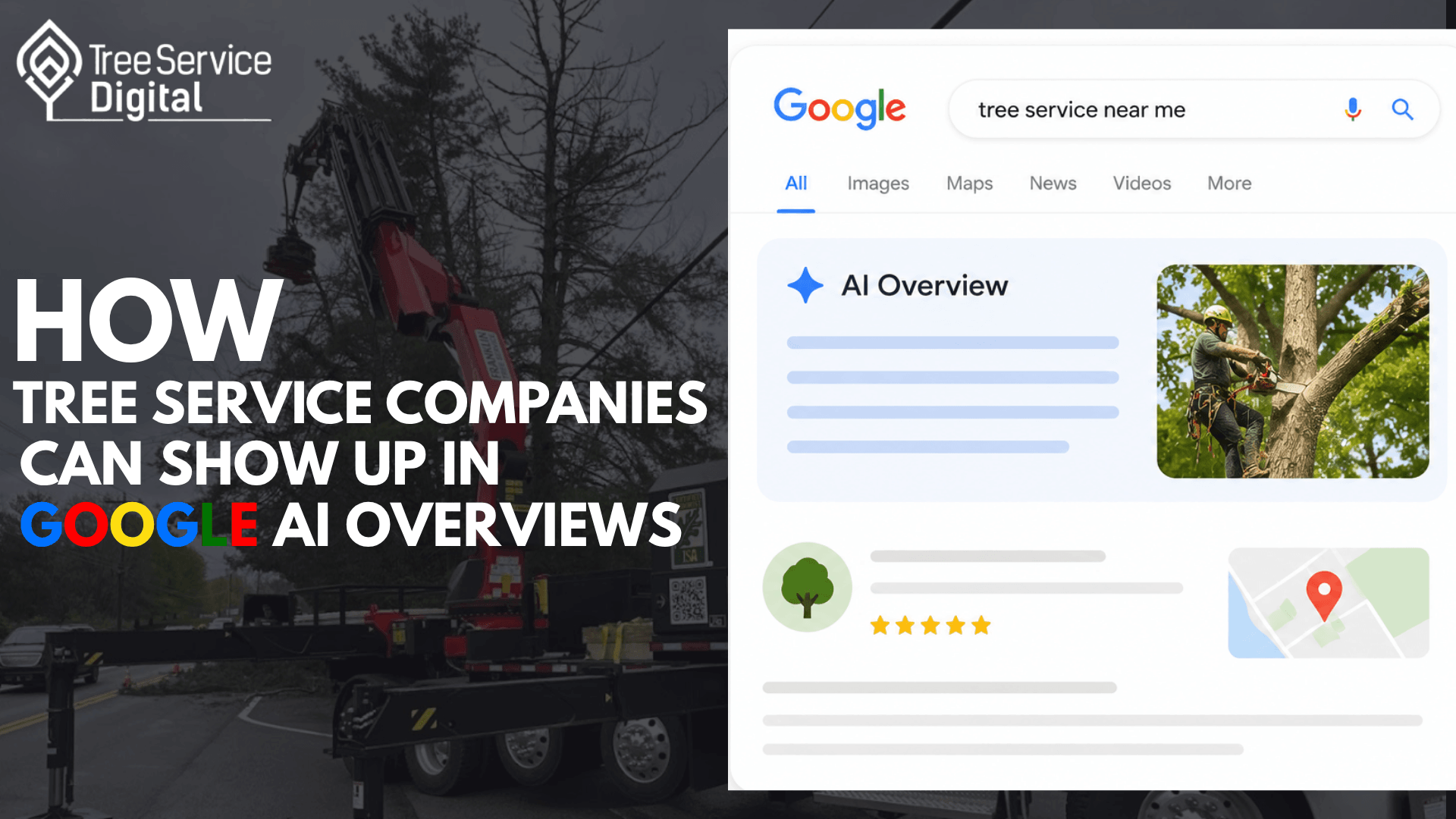 TSD Thumbnail Images 89 - Tree Service Digital