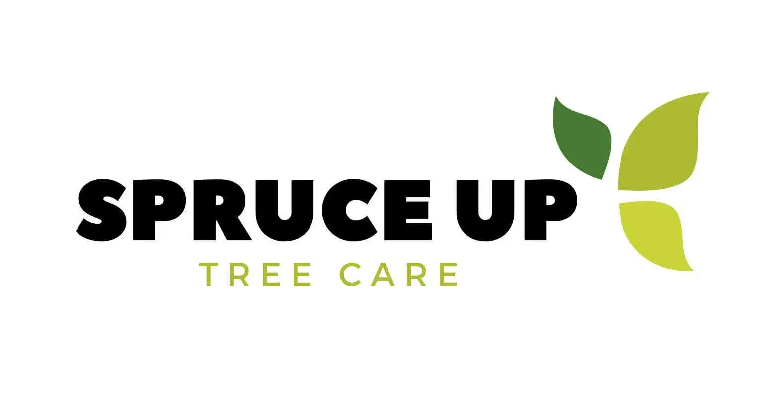 cropped Spruce Up Tree Care 3 2 - Tree Service Digital