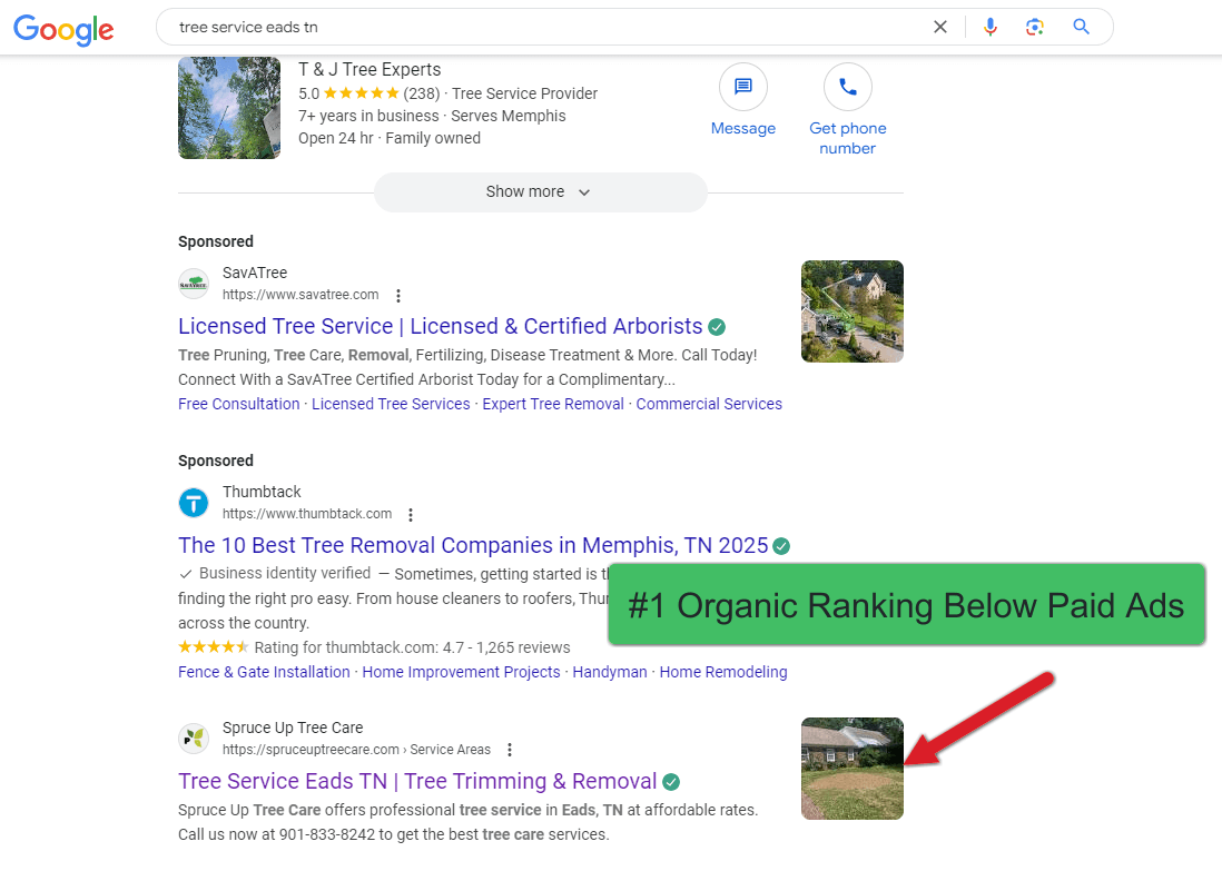 Tree Service Marketing Case Study - 100% Annual Growth for Three Years Running 5 Organic Search Ranking for Tree Service