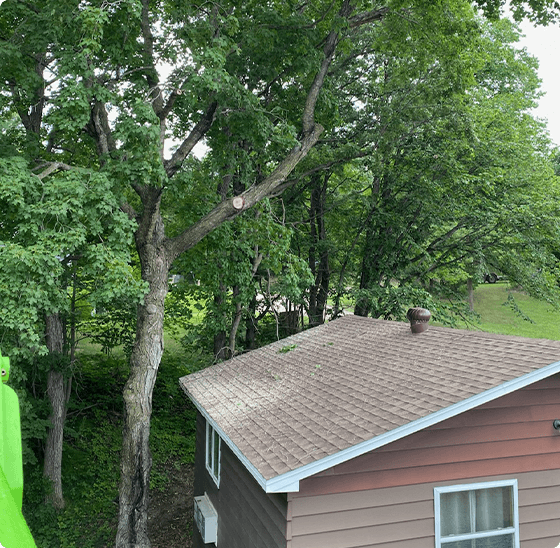 video package img - Tree Service Digital